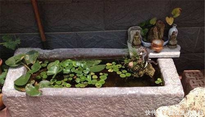  【用法】农村旧石槽很值钱？能用来做什么？这几种用法很实在，