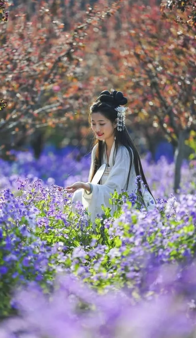 醉美不过台儿庄,小城沐浴在春光,盎然春意让阳光一天天的明媚起来【2020热门旅游景点】
