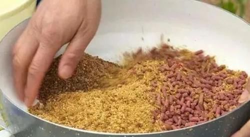  「米面」钓鲫鱼时，别费钱买饵了，常做3种饵窝，让你渔获倍增！
