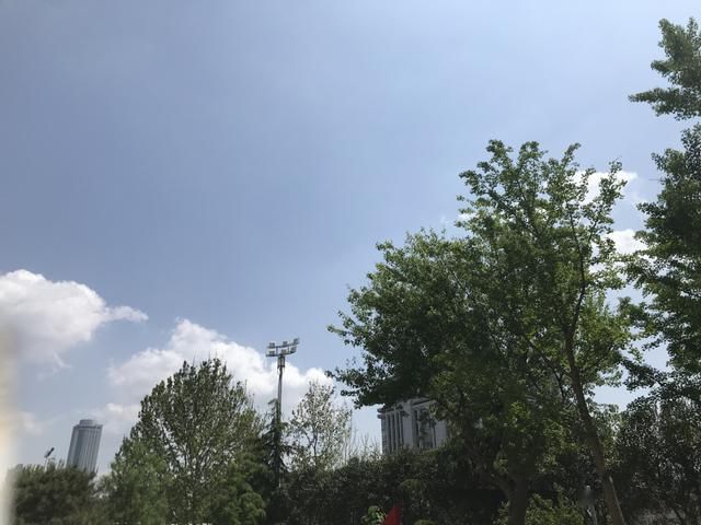  森林■36℃+8级阵风！山东五一期间天气预报出炉 森林火险等级高