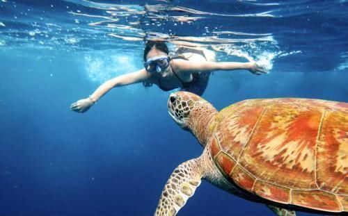 愤怒！普吉岛旅游再出事故，1名中国游客溺水身亡