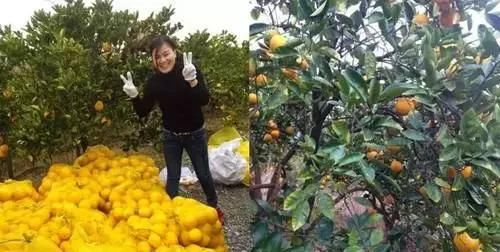 40岁大叔为钓鱼买下一座岛,改造破屋成海景房,真过瘾