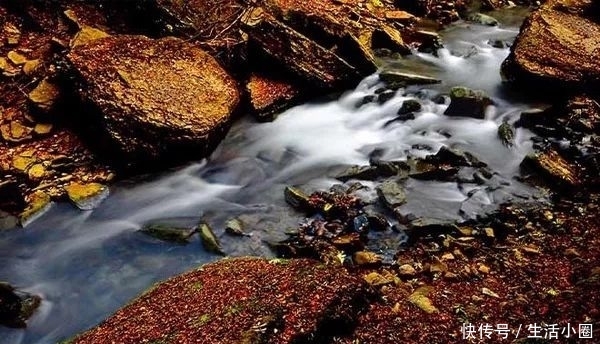 西安秦岭这个地方，秋季美成天堂，霸占北方最绚烂秋景