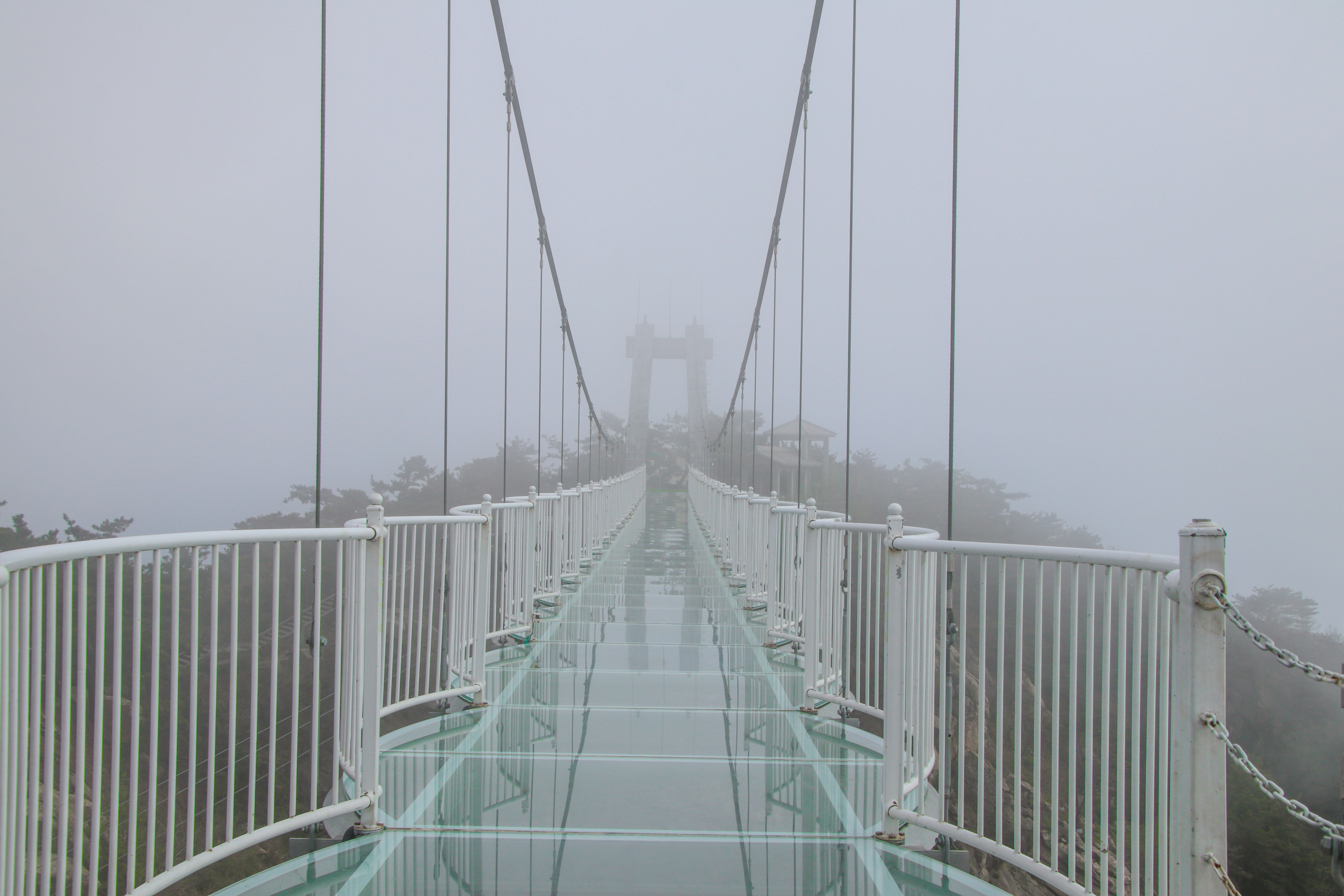 来沂蒙山，我“养”你啊