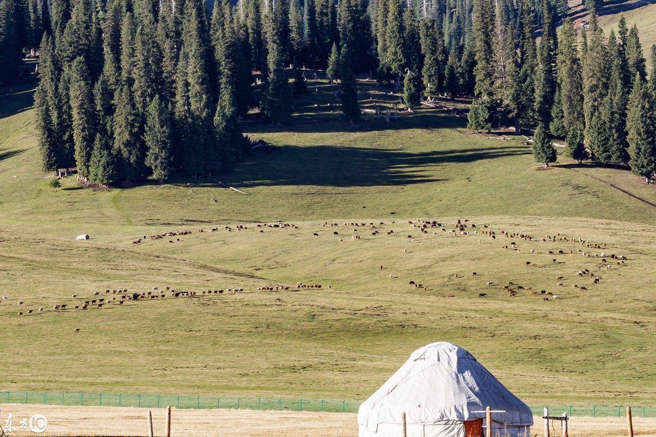 大草原上勾勒一幅草原美景
