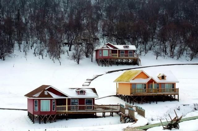 初冬已至，降温来袭 | 陕西这些地方已经下雪啦！想看雪景的走起