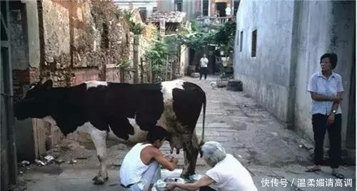 回顾80年代的中国百姓生活老照片