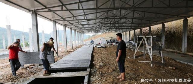  新房：40岁夫妻靠养蚕发家，花100万建养猪场，自己却舍不得盖新