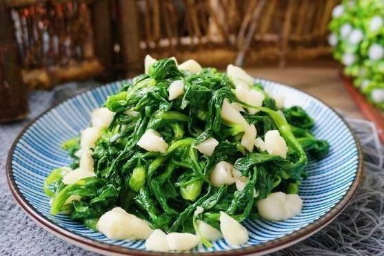  「凉菜」16道春季经典素凉菜，道道可口美味，素食主义者看过来