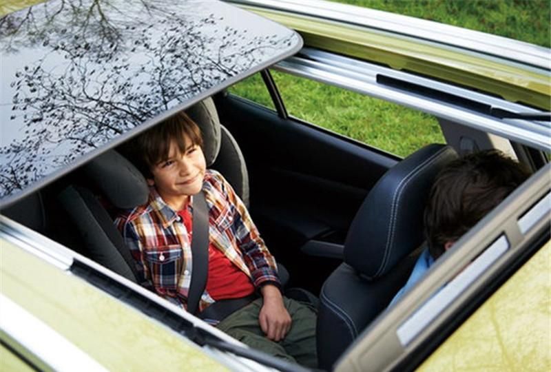  晕车|为啥晕车的总是乘客，司机为啥不晕？司机：我晕了谁开车？