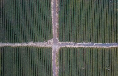 航拍韩国济州岛美景,四天三晚吃喝玩乐全攻略,总有你喜欢的