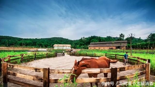 1h车程即达泡野奢私汤，爬山观景、露营骑马，解锁周末新耍法