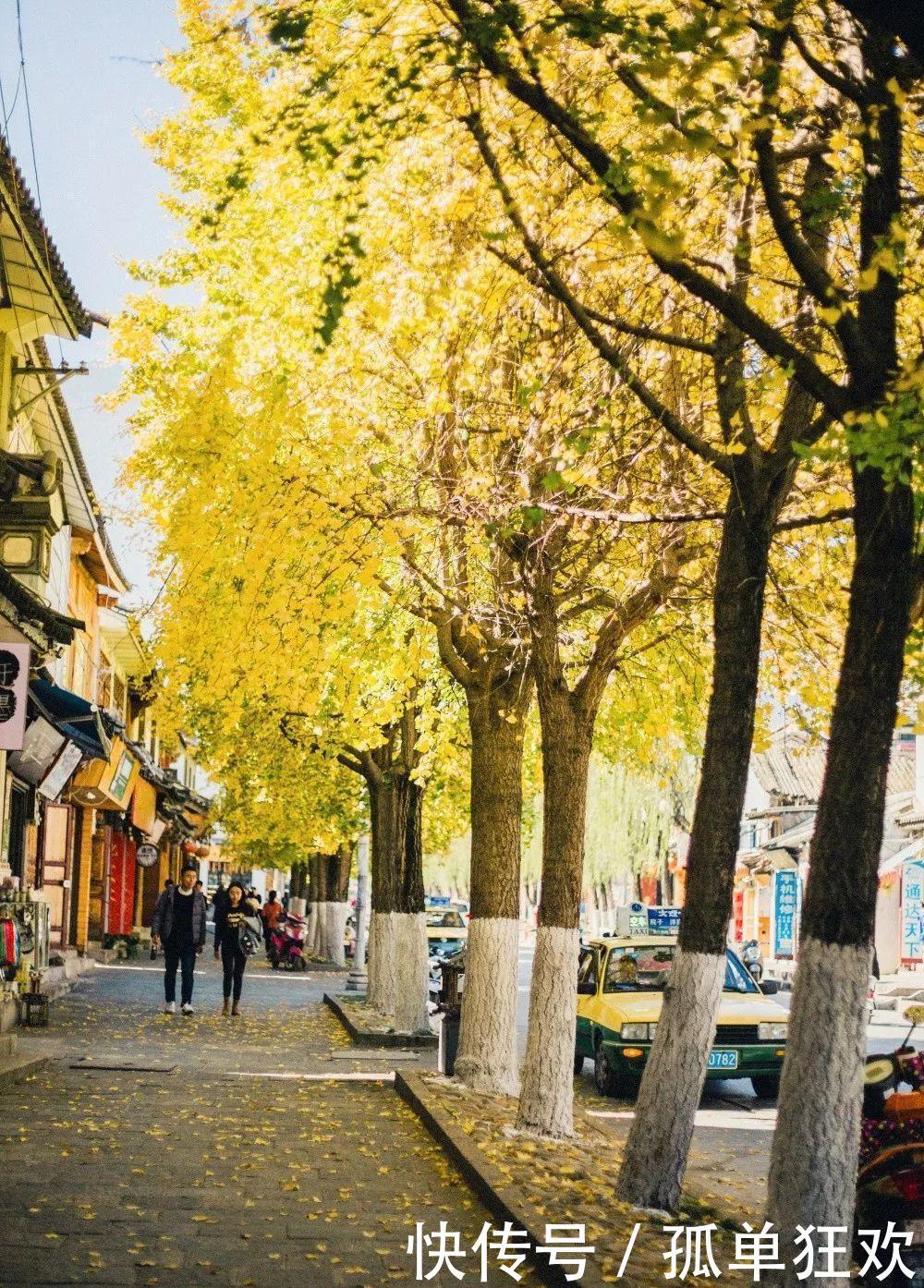 秋季的大理究竟有多美,你来了才知道!