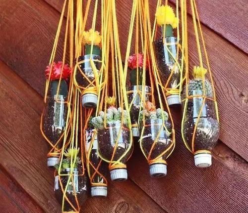  「实用」8个用塑料瓶制作的景观，有人觉得好看实用，但有人说丑爆了