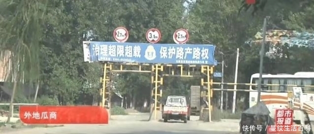 河南太康：西瓜丰收运不出，瓜农急得直跺脚，限高“封路”为哪般