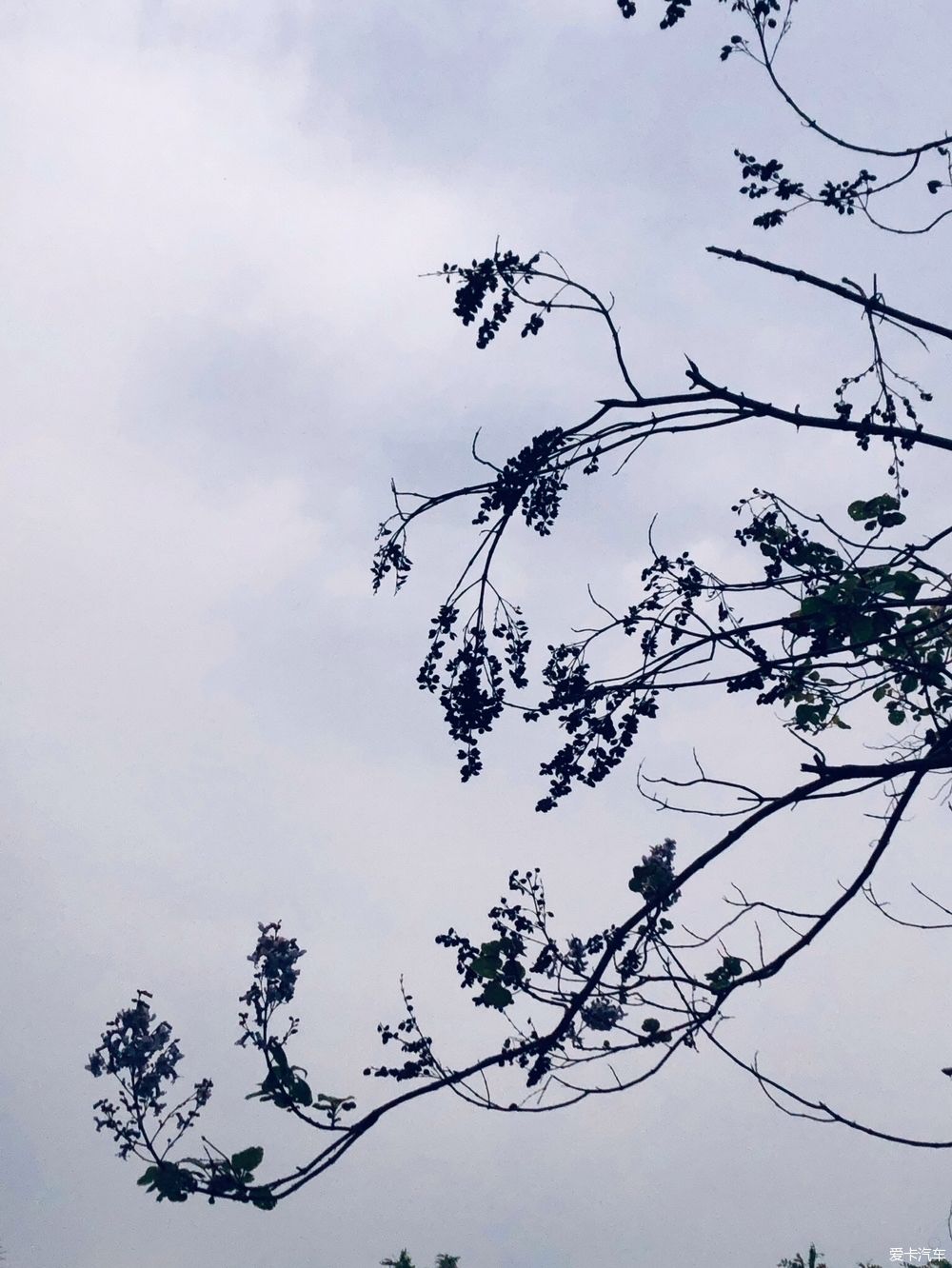  在家：喜欢上在家做的每一件事