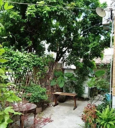  「小院」理想中的乡村小院