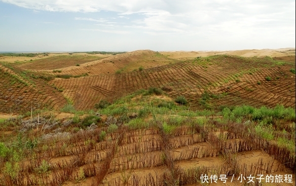  「时间」中国发明的“治沙”神器，在国外迅速走红，几年时间大