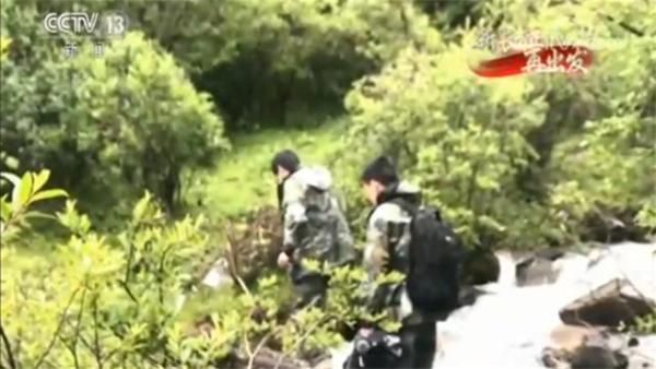 海拔最高的红军烈士墓：12位烈士长眠 巍峨雪山铭记忠魂