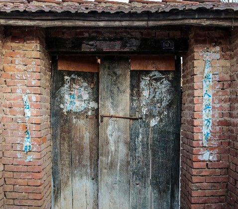  树木@农村老家的树木大家的门，渐渐消失了，难道还有回忆吗