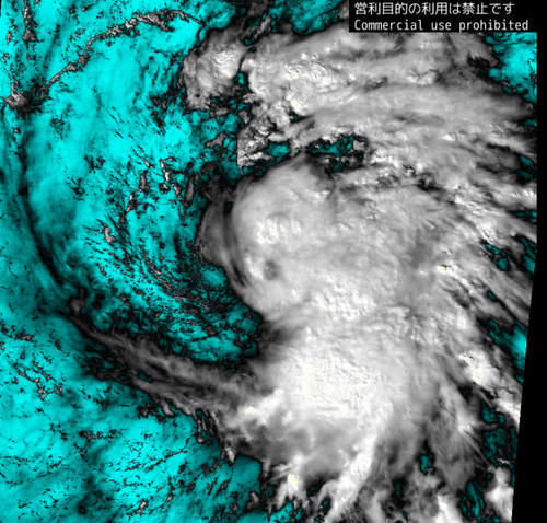  「台风」11月首个大台风夏浪刚刚报到！我国气象台预测风力15级