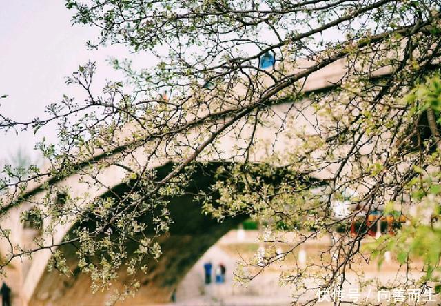  明明|中国名字“最土”的城市，明明是个二线大城市，名字却像小