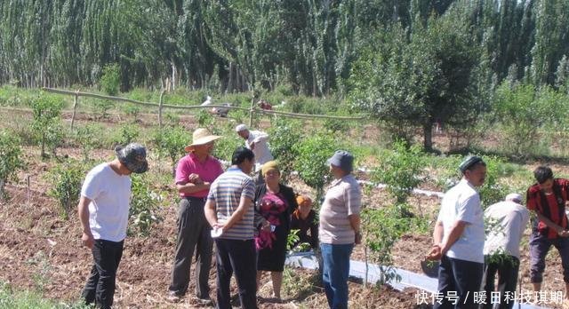 #农民朋友#农民朋友们注意了，今年起，这几种村干部将会被严查