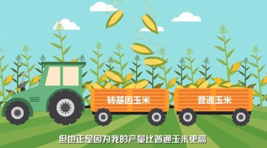 拒绝“背锅”！转基因玉米鸣冤辩护：我从来都不是“妖魔鬼怪”