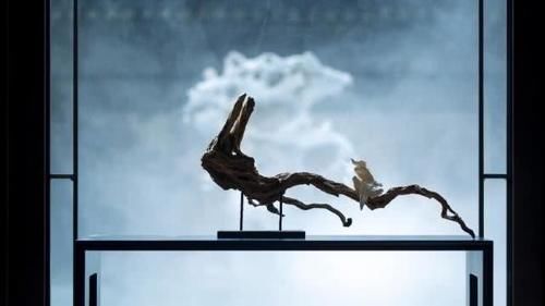 5年砸下千万，1300㎡豪宅别墅，里面的园林，美哭了我