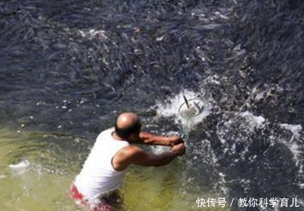 奇闻海水突然变成黑色，游客被吓跑到岸边，看清后兴奋跳入海中