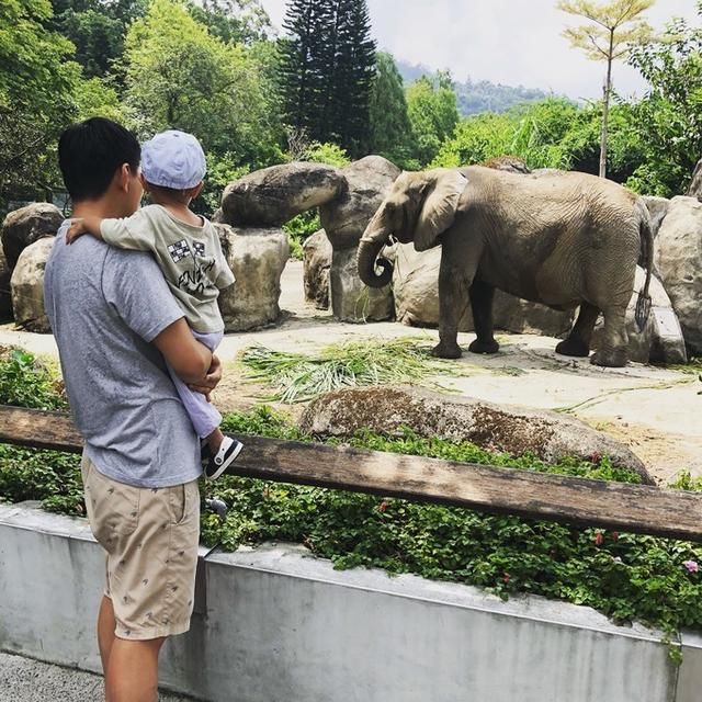 带娃看世界之台北-九份-花莲-台北七日游