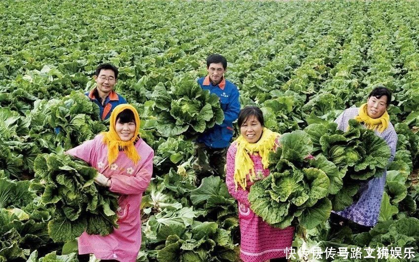  「美差」农村这4项“美差”别错过，不用背井离乡，自己当老板年