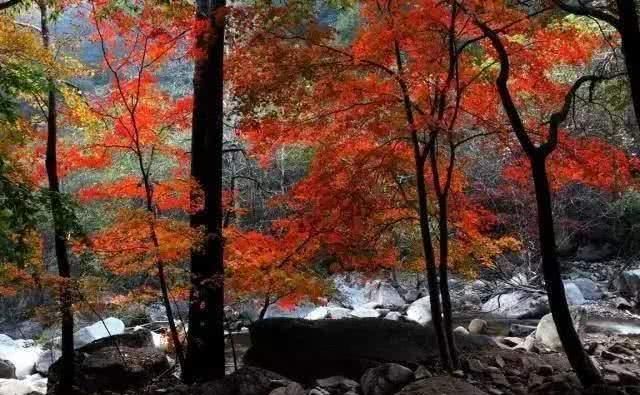  「叫板」四川敢叫板九寨沟和稻城亚丁的小城，美得惊人却很低调