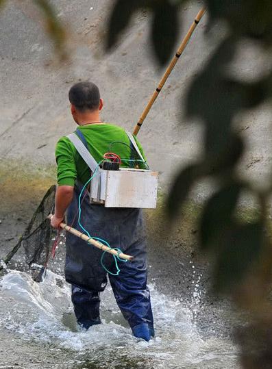 农民要注意了！农民的这3种违规行为，一旦抓住必将被严惩