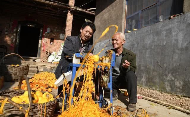 六旬老人用传统工艺做柿饼，一天削600个柿子，做的柿饼很抢手