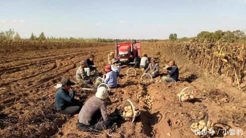  严惩@19年开始, 两项新规将执行, 3类人将被严惩, 独生子女户有