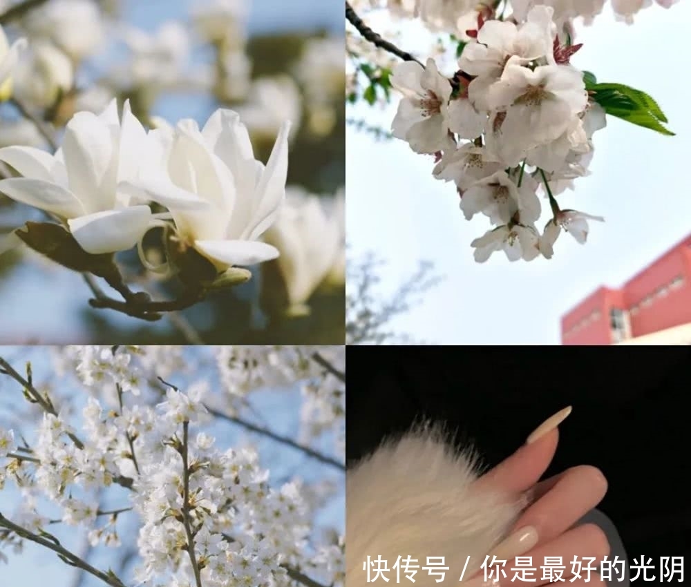 「春天」是心动啊 曲园专属彩妆来啦!