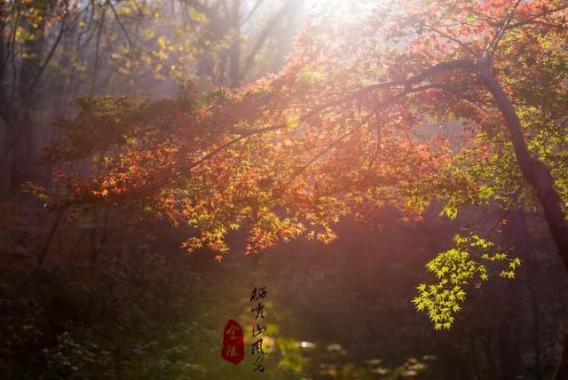 金陵秋色之栖霞山