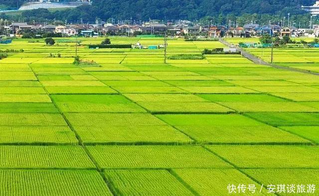  「违停抓拍点」2020年1月新规来了，都与你有关！