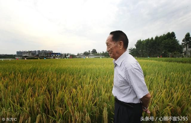 娱乐圈的婚姻有没必要天天炒,张馨予是不是该歇歇了!