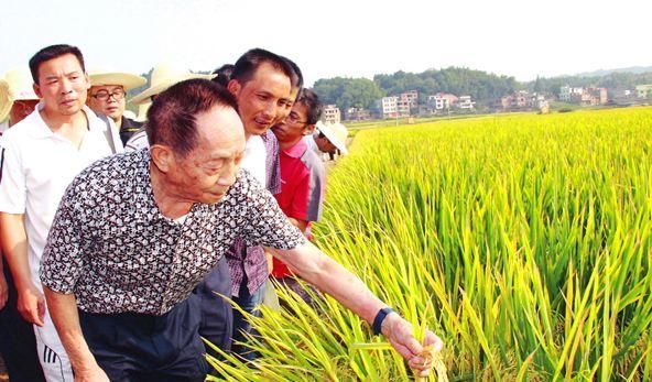 有记者问：外国粮食便宜，我们为何要自己种，袁隆平答这样一句话