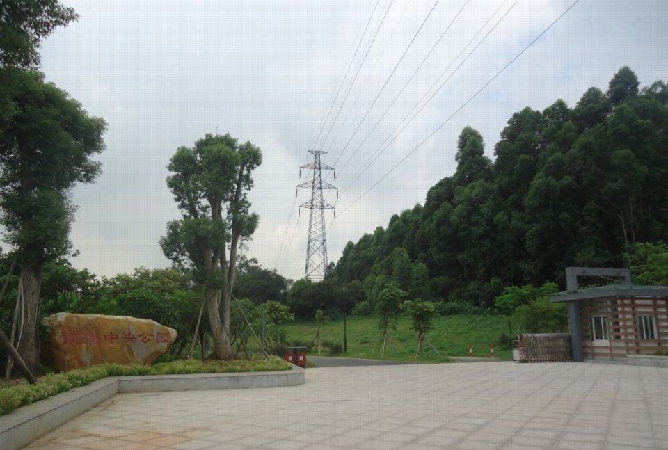 中国最接近城市的镇子:人口67万GDP破千亿,让不少地级市汗颜