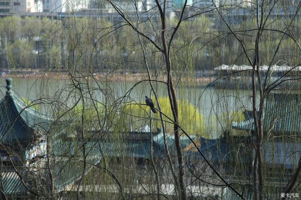  『兰州』大王泒我去巡山【2】兰州碑林