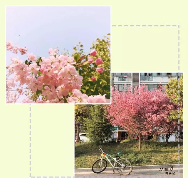  #一大#穿阔腿裤怎么上厕所？这一大难题终于得到了解决！