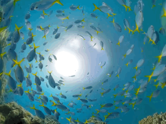 GoPro Hero 7 Black入坑详测，目前最好的运动相机，没有之一