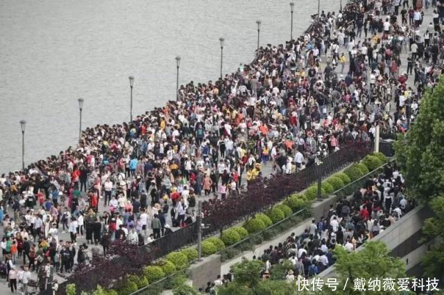 火了!上海再现“拉链式过马路”