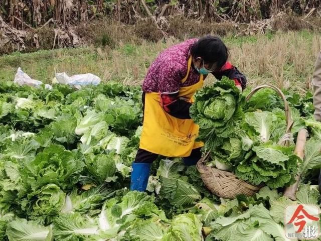  新冠肺炎■早新闻丨警惕！无症状感染者探望岳父岳母，致一家三