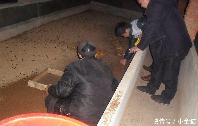 农民兄弟注意了: 在农村的这8种养殖骗局, 又活跃了起来 , 已有不