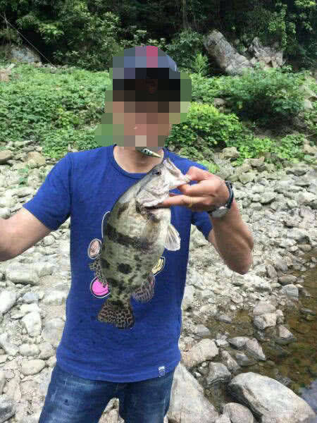  【水域】斑鳜栖居于清净水域，被誉为“淡水鱼之王”