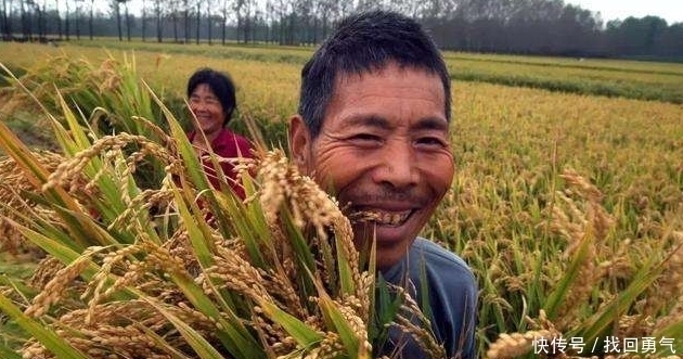  农民朋友：2019年农村迎来“四大喜讯”,和每个家庭相关,农民朋